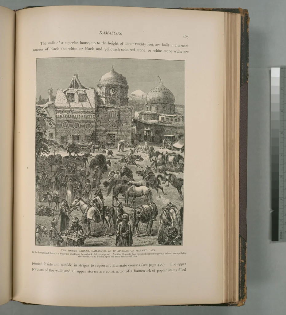 An illustration from Picturesque Palestine, Sinai and Egypt, 1881, leaf 265