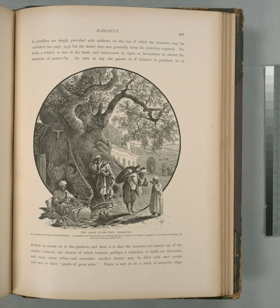 An illustration from Picturesque Palestine, Sinai and Egypt, 1881, leaf 266