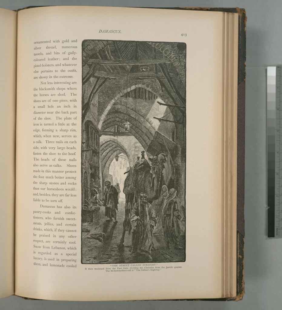 An illustration from Picturesque Palestine, Sinai and Egypt, 1881, leaf 270