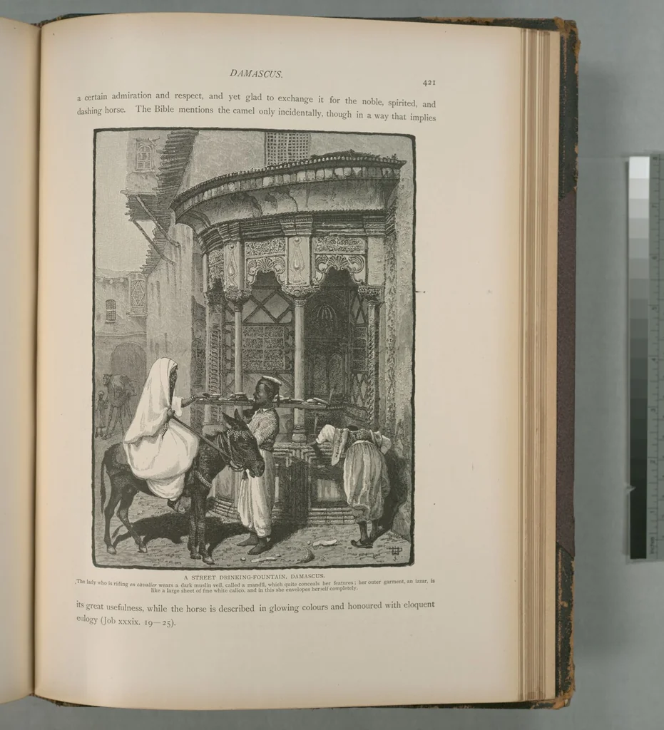 An illustration from Picturesque Palestine, Sinai and Egypt, 1881, leaf 275