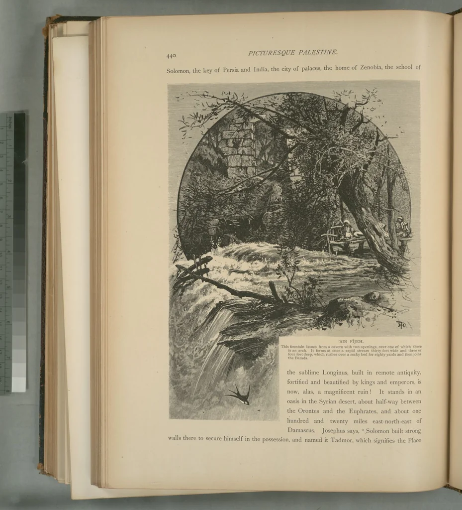 An illustration from Picturesque Palestine, Sinai and Egypt, 1881, leaf 286