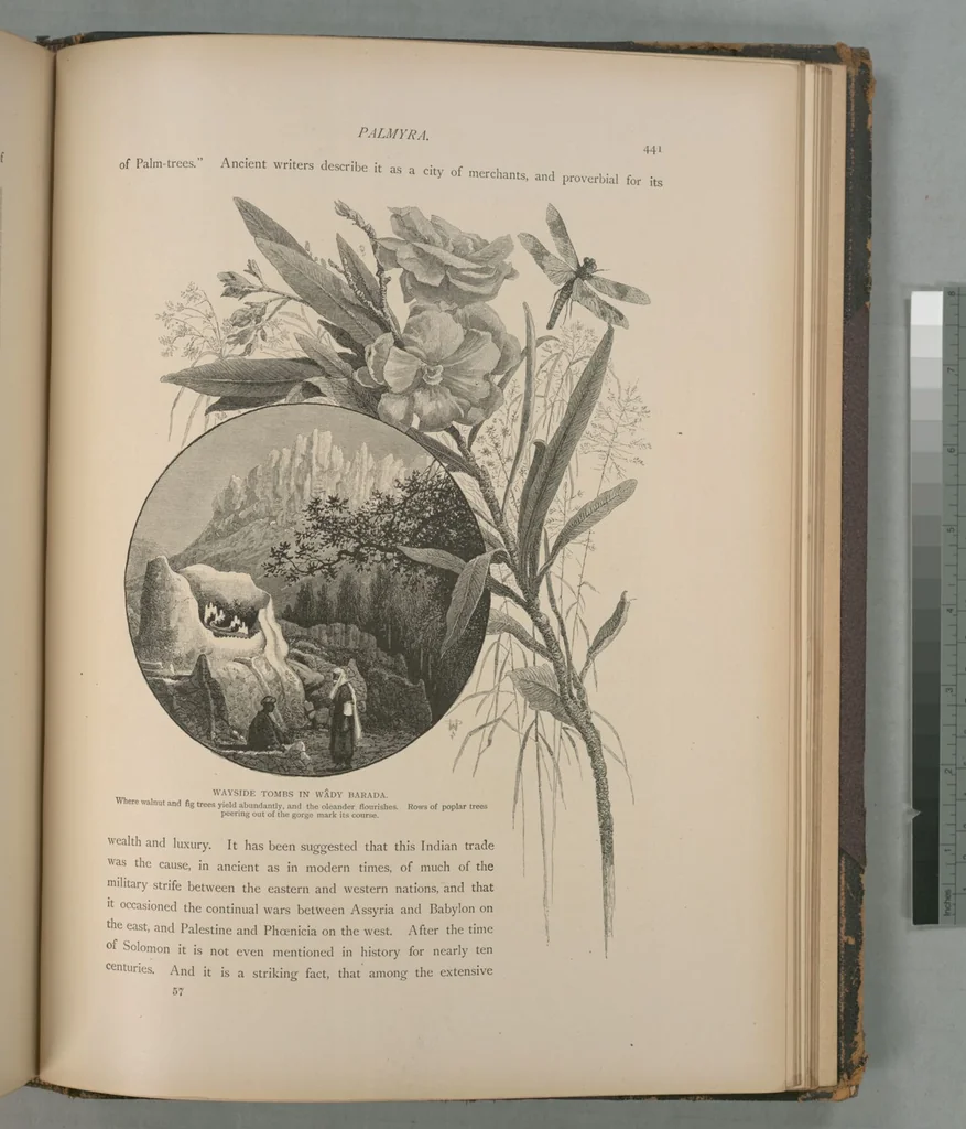 An illustration from Picturesque Palestine, Sinai and Egypt, 1881, leaf 287
