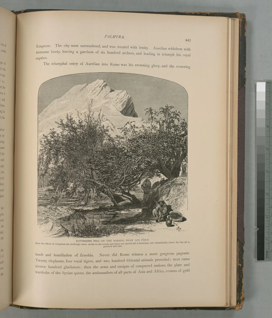 An illustration from Picturesque Palestine, Sinai and Egypt, 1881, leaf 288