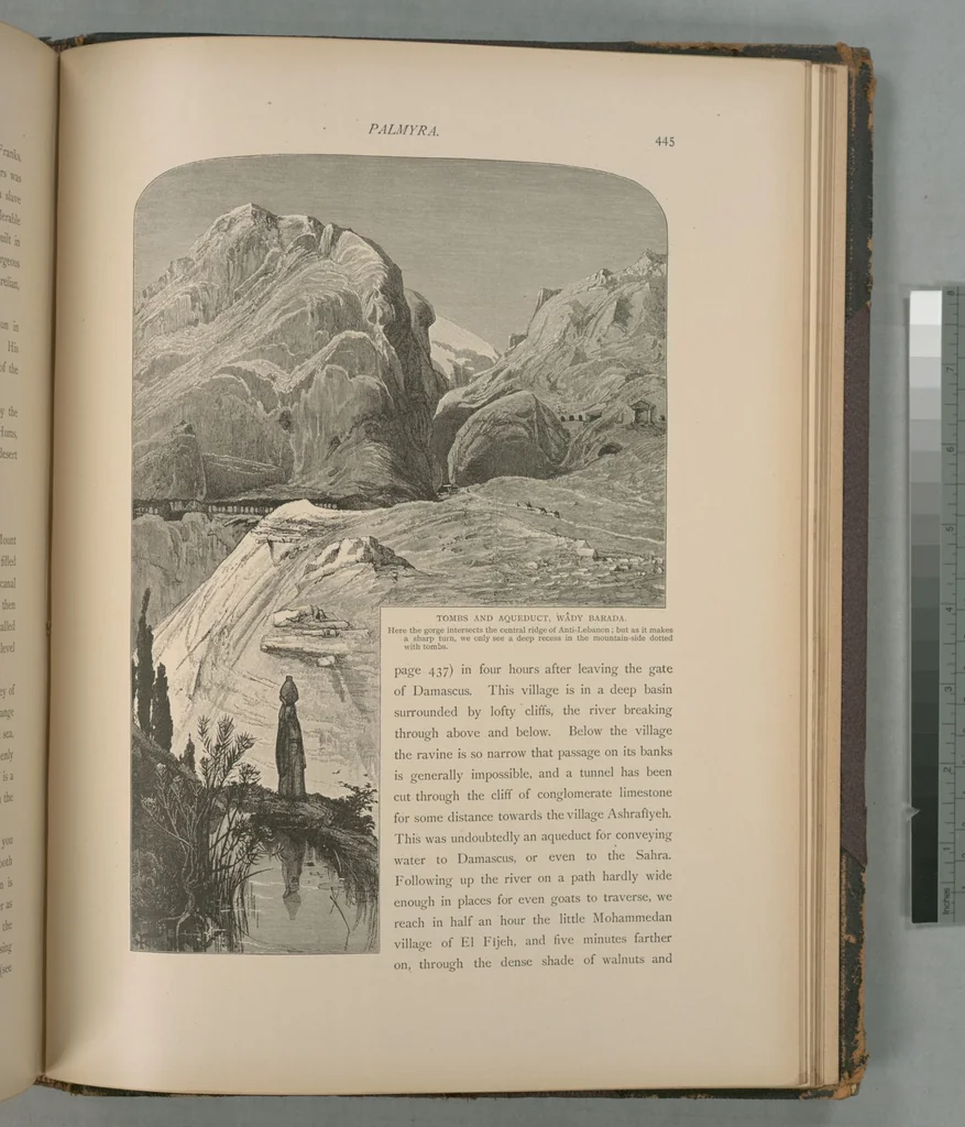 An illustration from Picturesque Palestine, Sinai and Egypt, 1881, leaf 289
