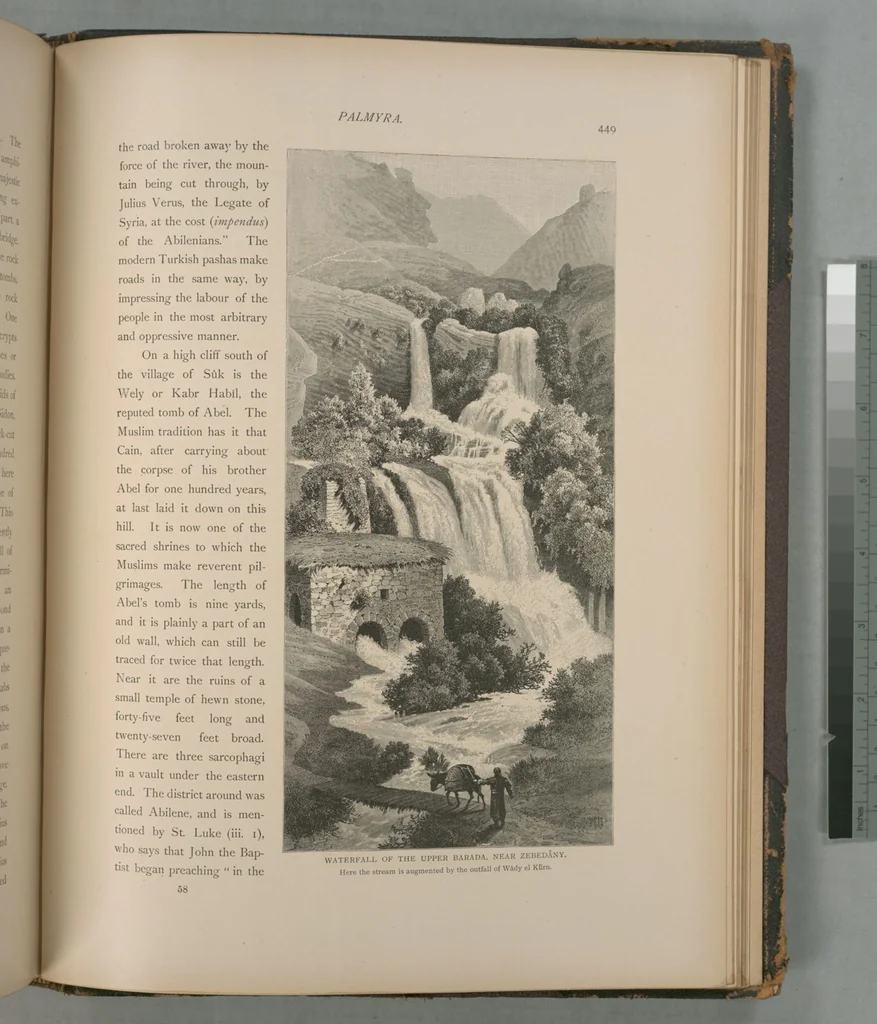 An illustration from Picturesque Palestine, Sinai and Egypt, 1881, leaf 292