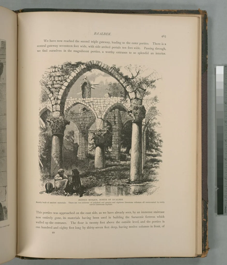 An illustration from Picturesque Palestine, Sinai and Egypt, 1881, leaf 302