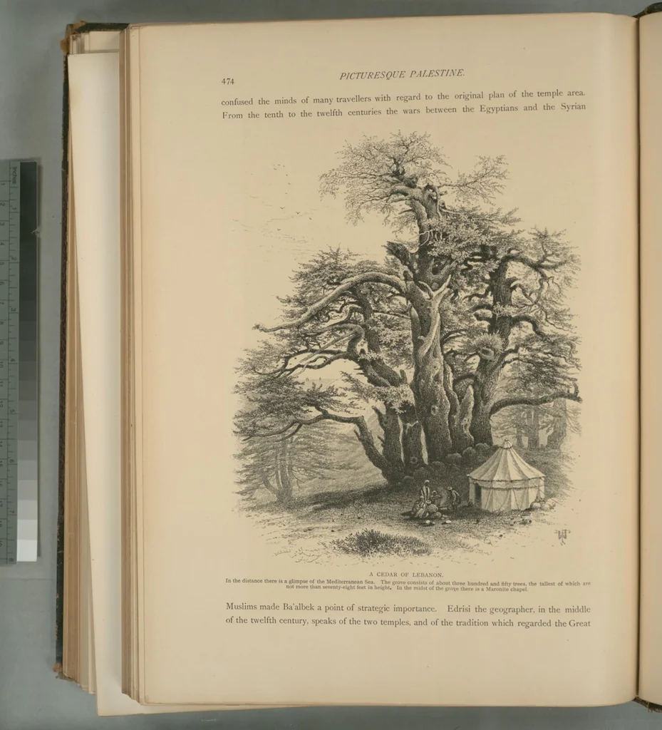 An illustration from Picturesque Palestine, Sinai and Egypt, 1881, leaf 307