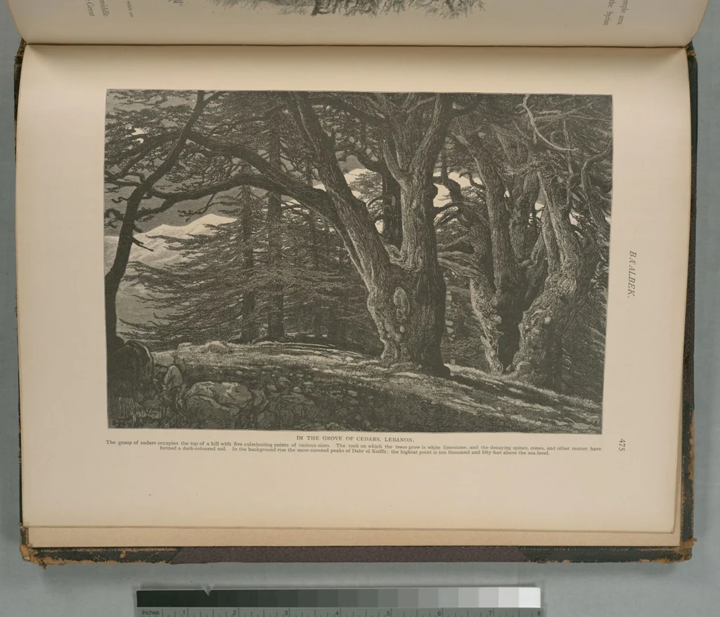 An illustration from Picturesque Palestine, Sinai and Egypt, 1881, leaf 308