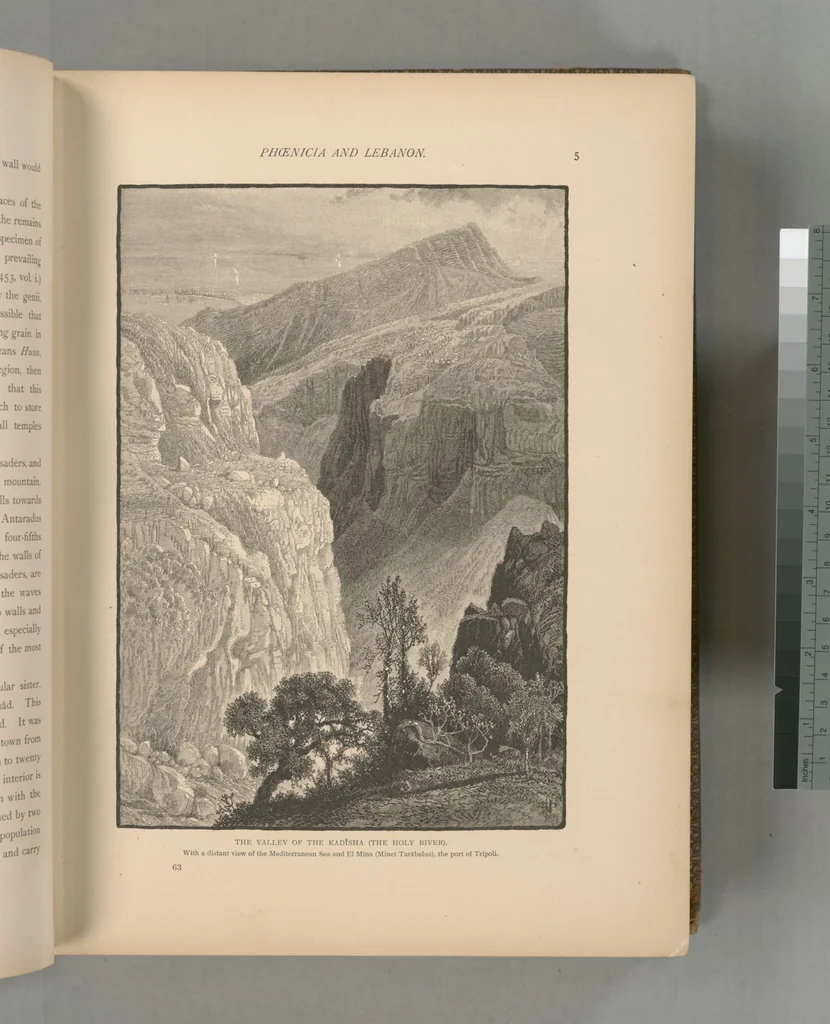 An illustration from Picturesque Palestine, Sinai and Egypt, 1881, leaf 321