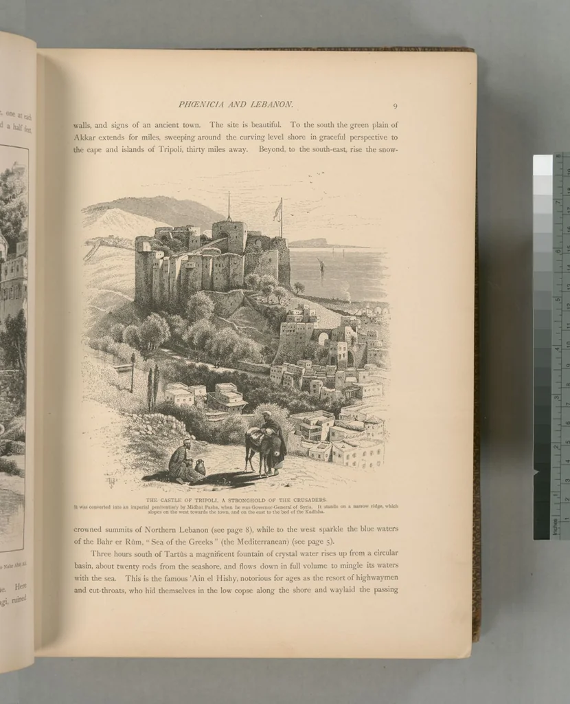 An illustration from Picturesque Palestine, Sinai and Egypt, 1881, leaf 323