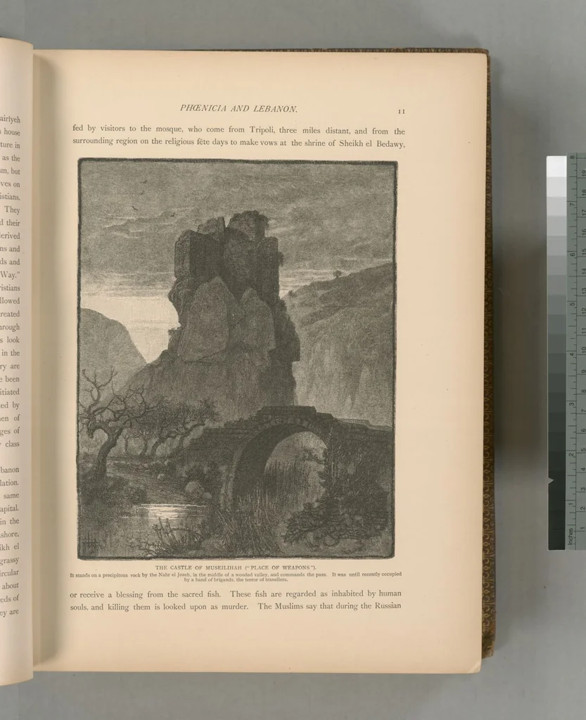 An illustration from Picturesque Palestine, Sinai and Egypt, 1881, leaf 324