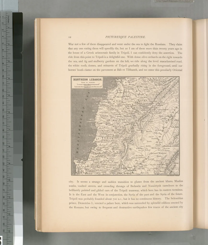 An illustration from Picturesque Palestine, Sinai and Egypt, 1881, leaf 325