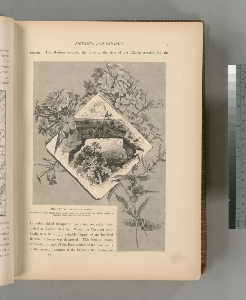 An illustration from Picturesque Palestine, Sinai and Egypt, 1881, leaf 326