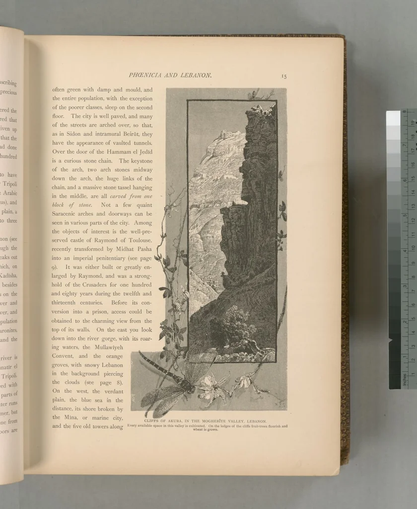 An illustration from Picturesque Palestine, Sinai and Egypt, 1881, leaf 327