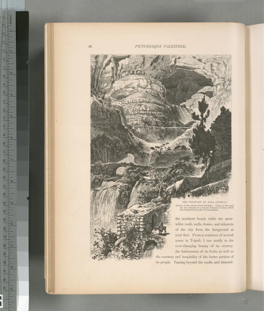 An illustration from Picturesque Palestine, Sinai and Egypt, 1881, leaf 328