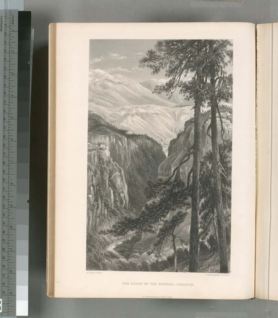 An illustration from Picturesque Palestine, Sinai and Egypt, 1881, leaf 329