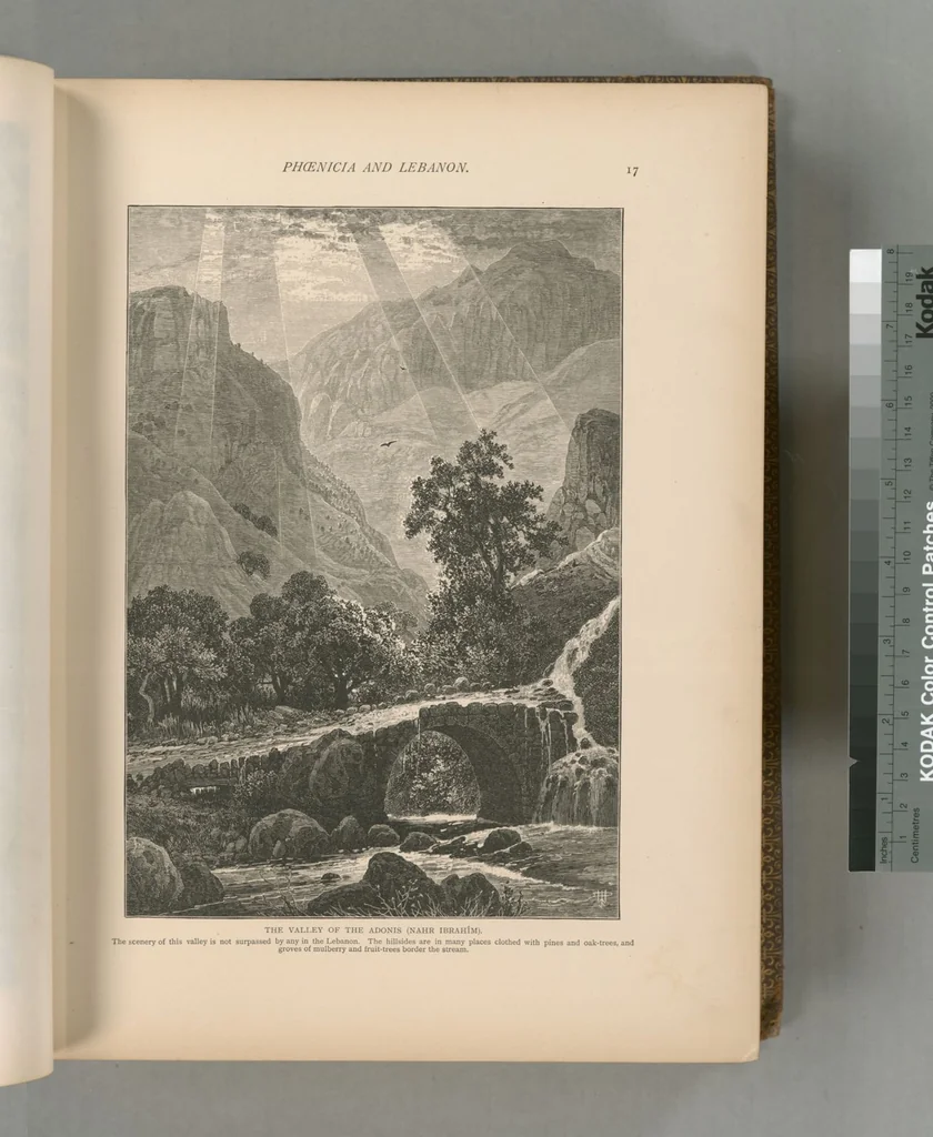 An illustration from Picturesque Palestine, Sinai and Egypt, 1881, leaf 330