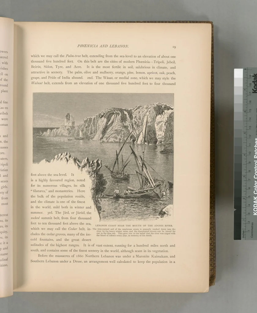 An illustration from Picturesque Palestine, Sinai and Egypt, 1881, leaf 331