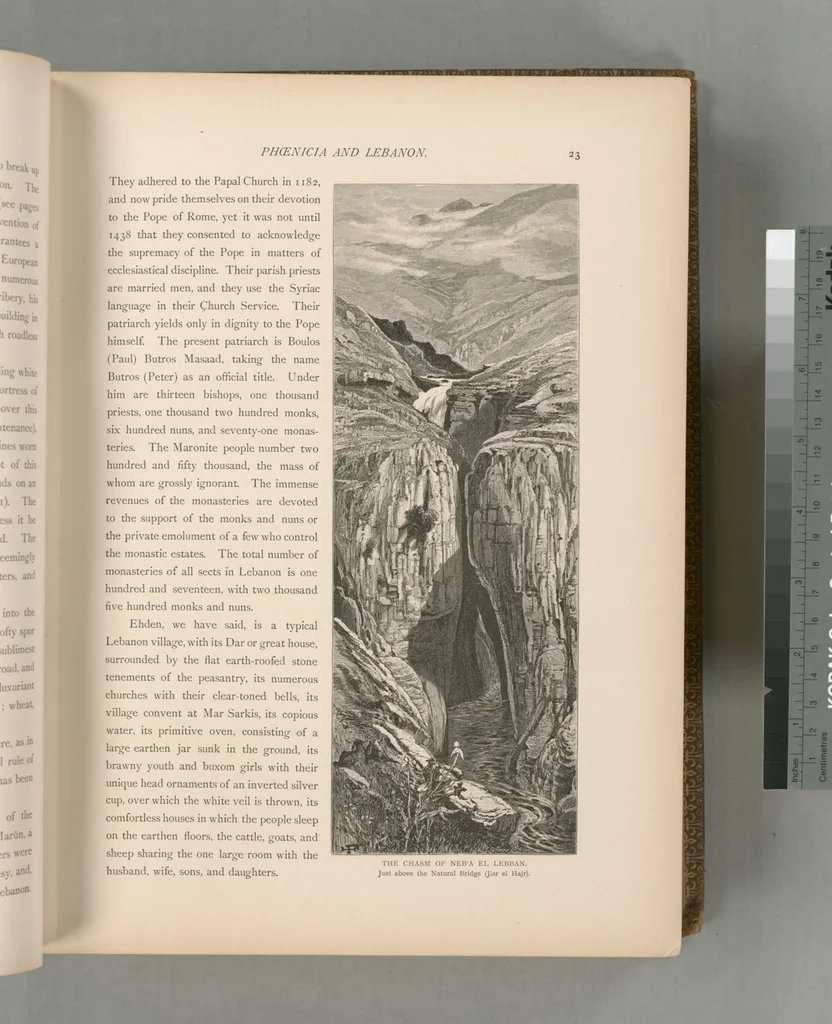 An illustration from Picturesque Palestine, Sinai and Egypt, 1881, leaf 334