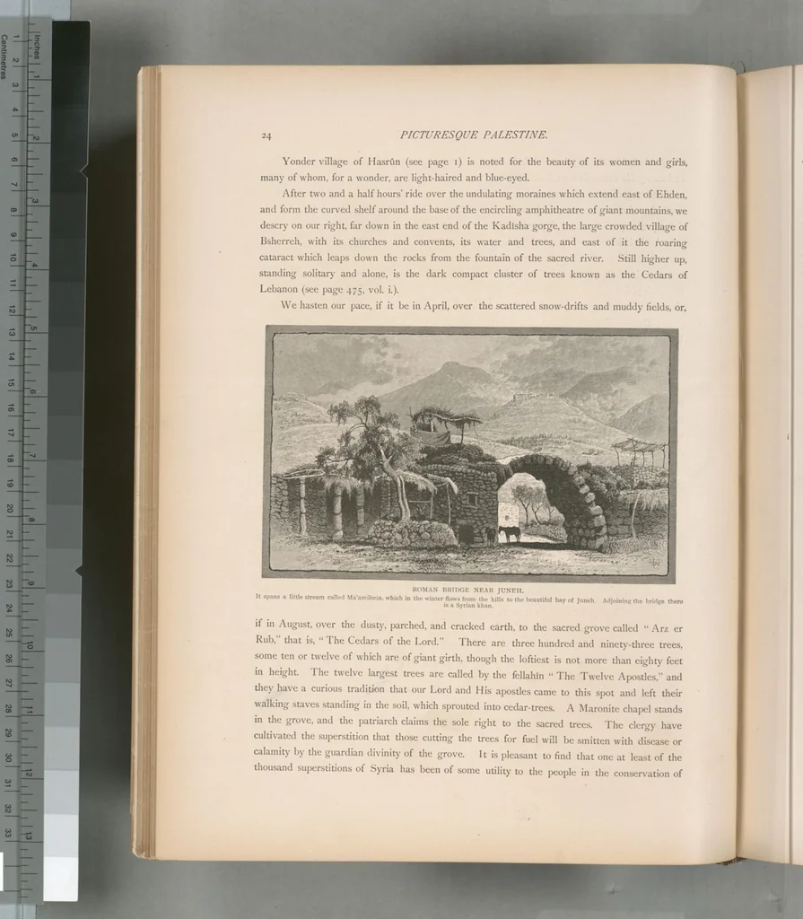 An illustration from Picturesque Palestine, Sinai and Egypt, 1881, leaf 335