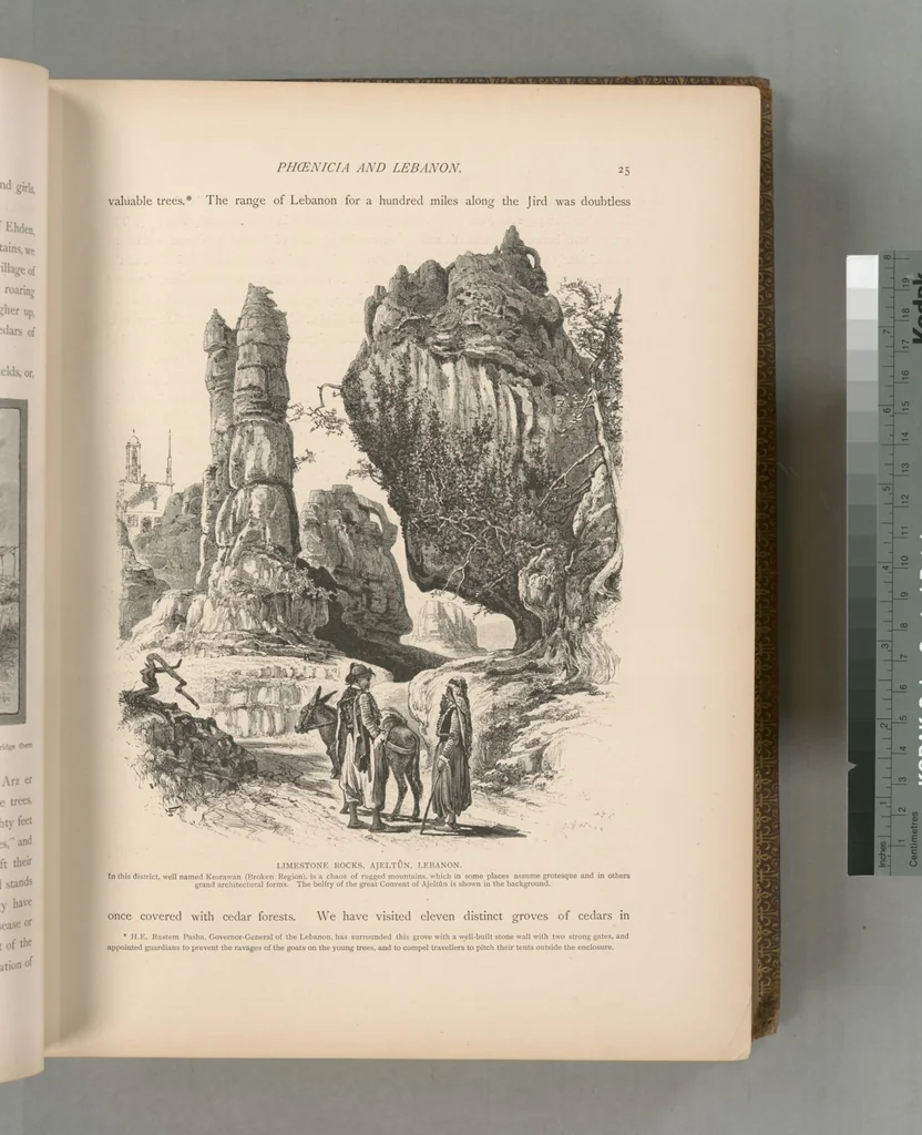 An illustration from Picturesque Palestine, Sinai and Egypt, 1881, leaf 336