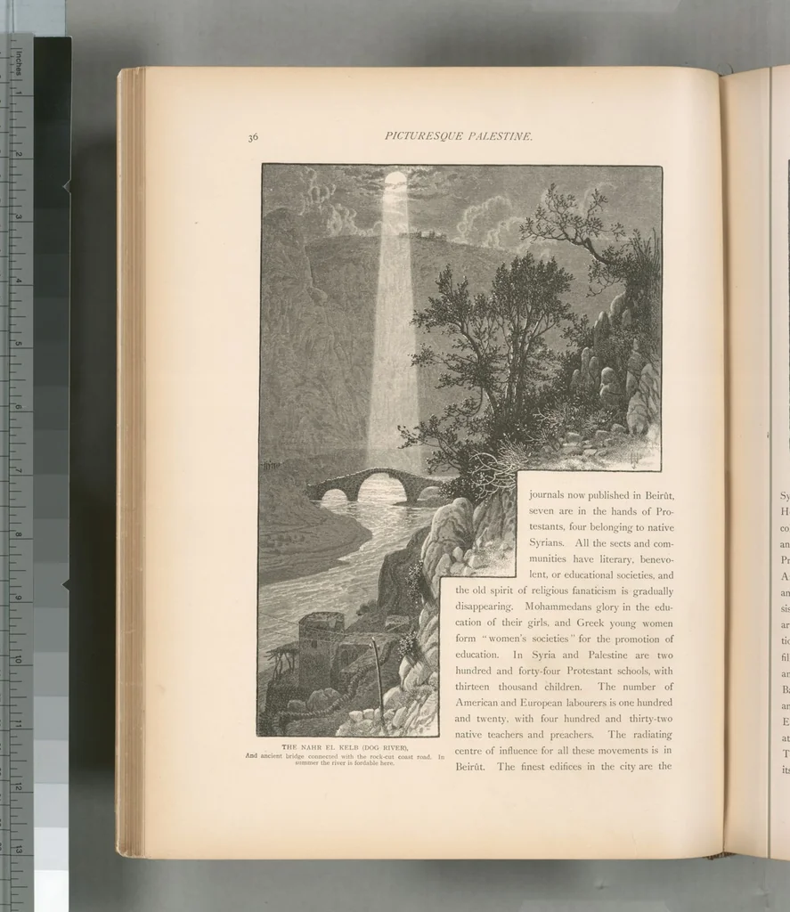 An illustration from Picturesque Palestine, Sinai and Egypt, 1881, leaf 342