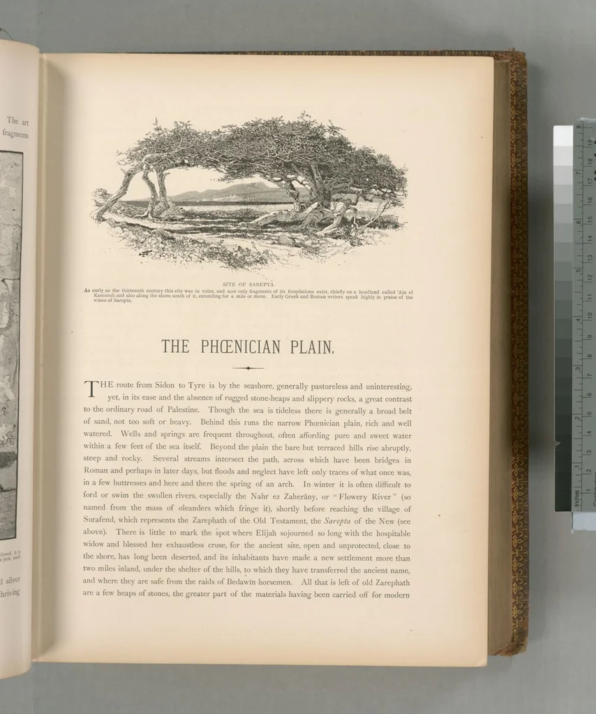An illustration from Picturesque Palestine, Sinai and Egypt, 1881, leaf 352