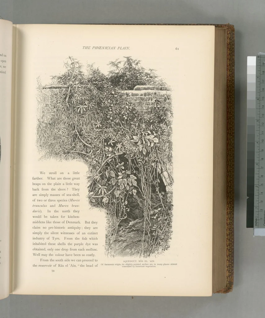 An illustration from Picturesque Palestine, Sinai and Egypt, 1881, leaf 362