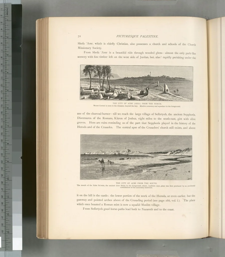 An illustration from Picturesque Palestine, Sinai and Egypt, 1881, leaf 367