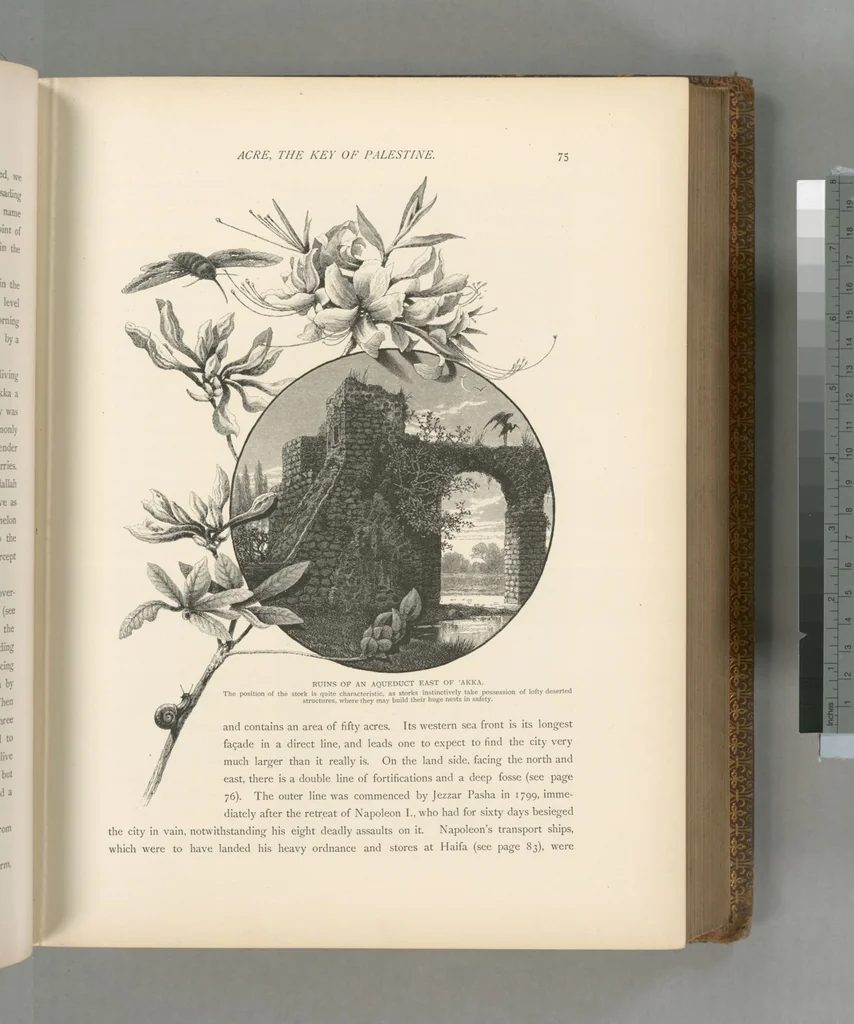 An illustration from Picturesque Palestine, Sinai and Egypt, 1881, leaf 370