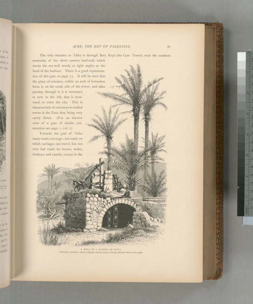 An illustration from Picturesque Palestine, Sinai and Egypt, 1881, leaf 374