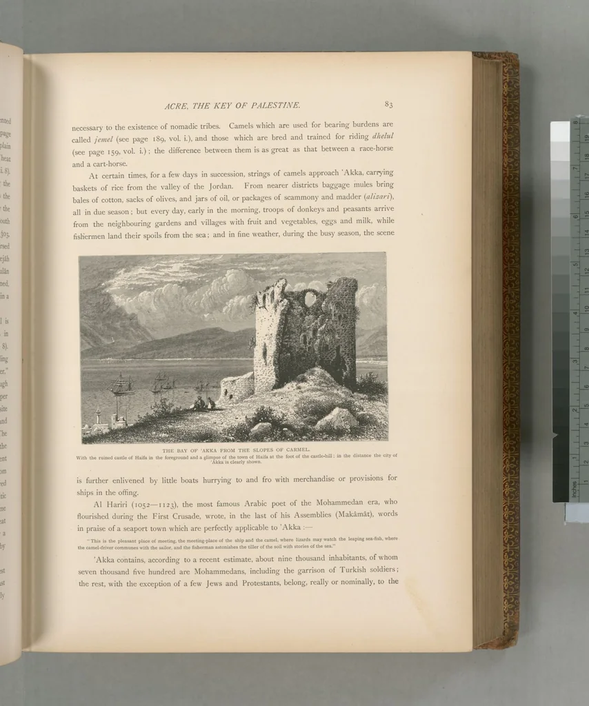 An illustration from Picturesque Palestine, Sinai and Egypt, 1881, leaf 375