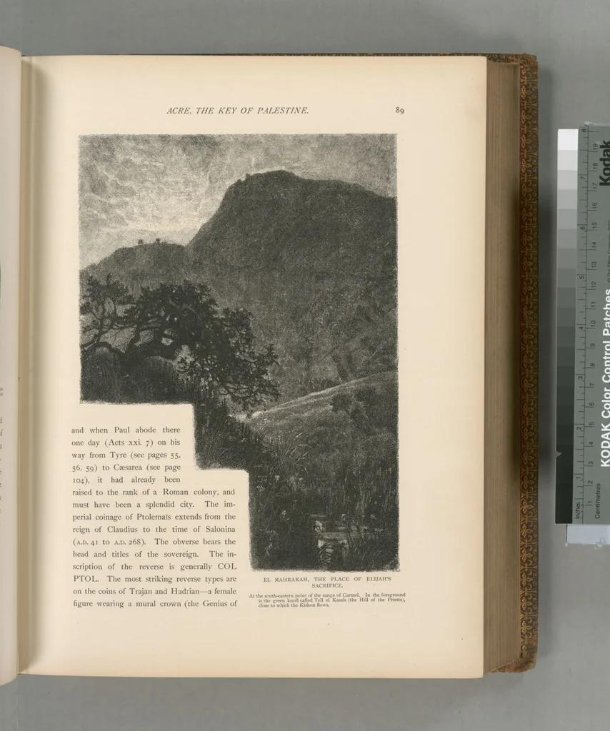 An illustration from Picturesque Palestine, Sinai and Egypt, 1881, leaf 379