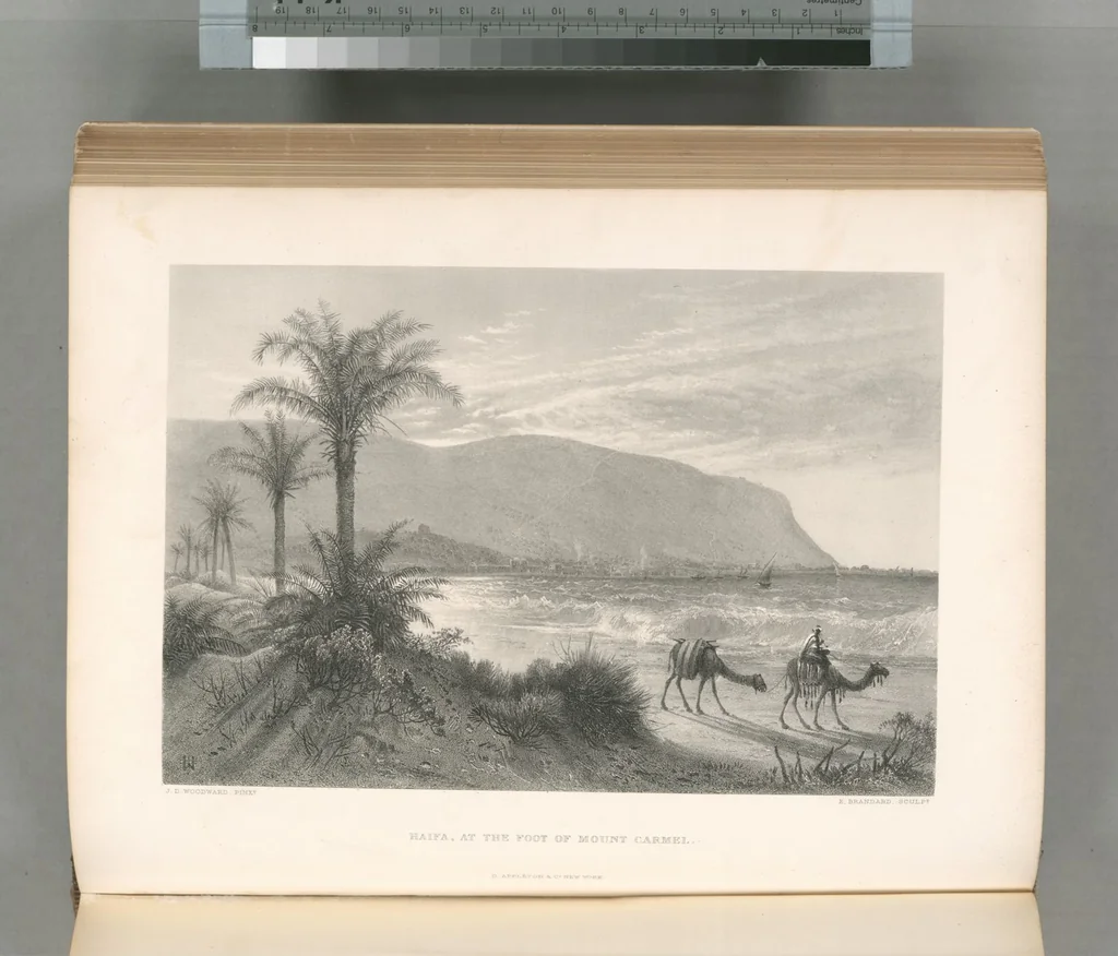 An illustration from Picturesque Palestine, Sinai and Egypt, 1881, leaf 382