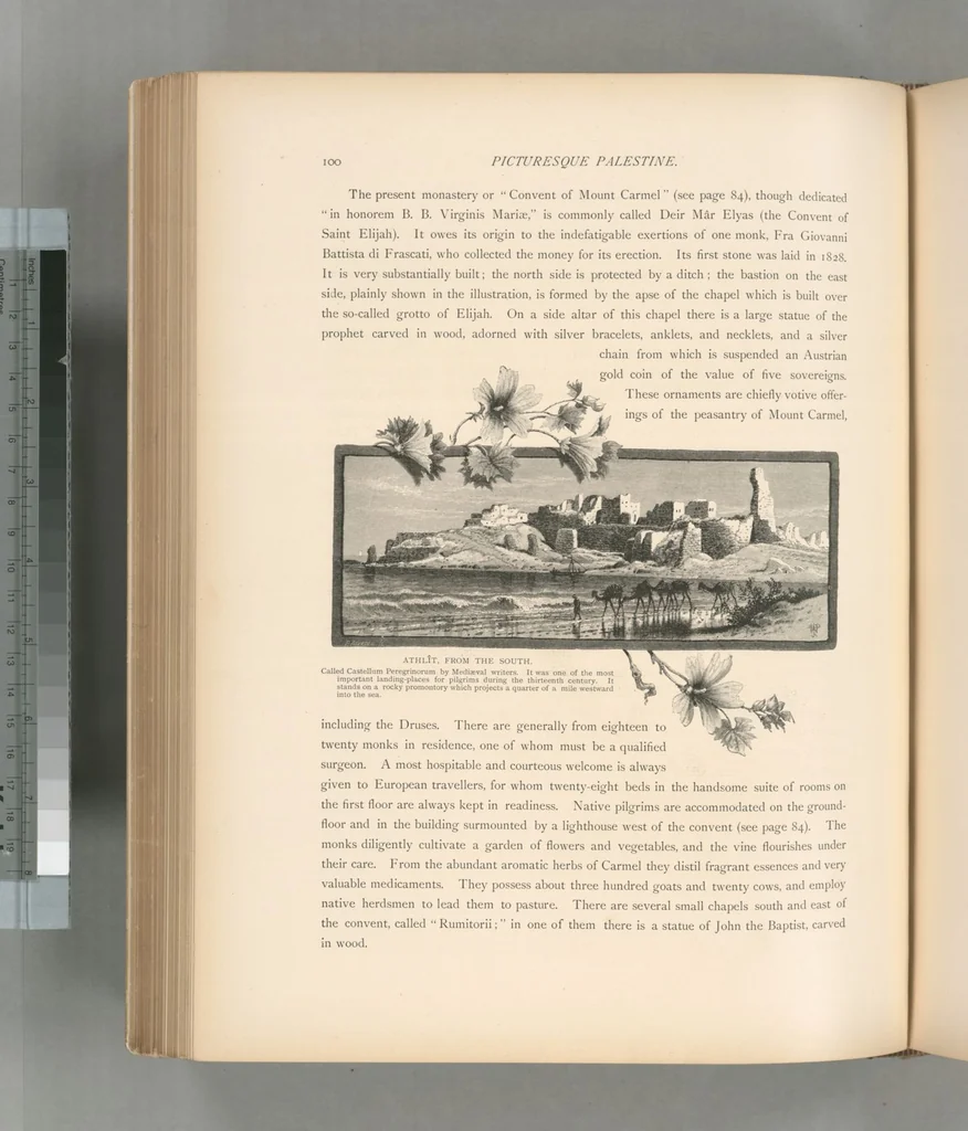 An illustration from Picturesque Palestine, Sinai and Egypt, 1881, leaf 385