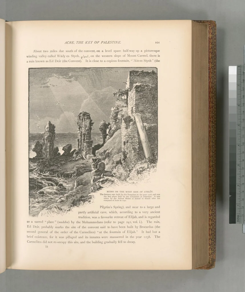 An illustration from Picturesque Palestine, Sinai and Egypt, 1881, leaf 386