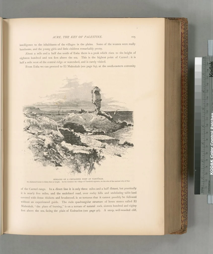 An illustration from Picturesque Palestine, Sinai and Egypt, 1881, leaf 388