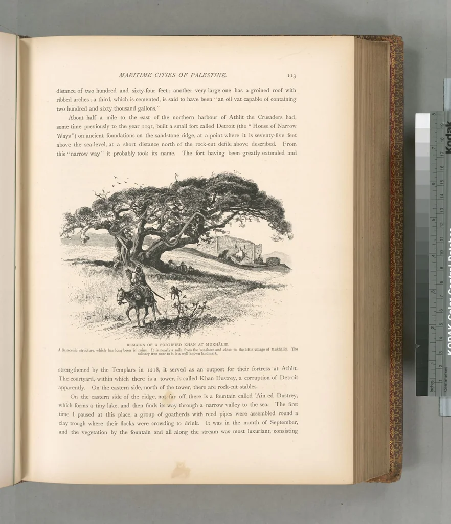 An illustration from Picturesque Palestine, Sinai and Egypt, 1881, leaf 393