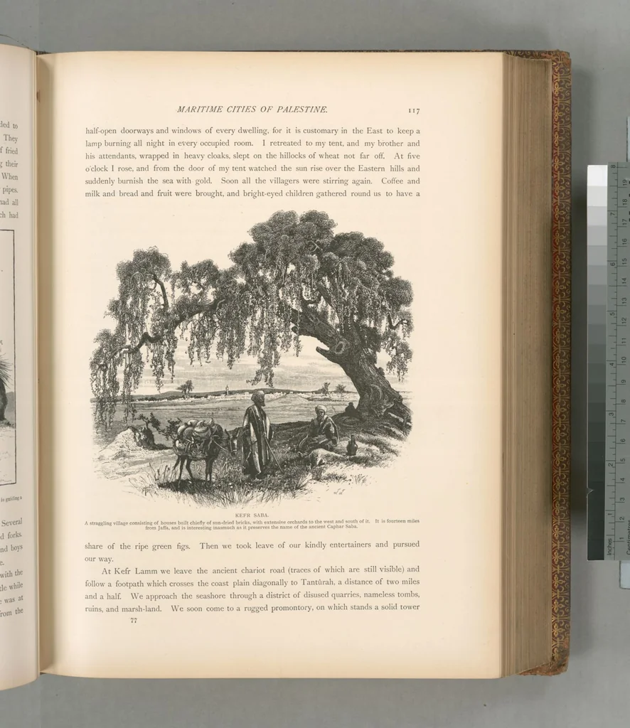 An illustration from Picturesque Palestine, Sinai and Egypt, 1881, leaf 395