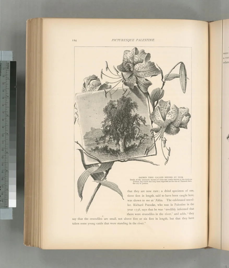 An illustration from Picturesque Palestine, Sinai and Egypt, 1881, leaf 398