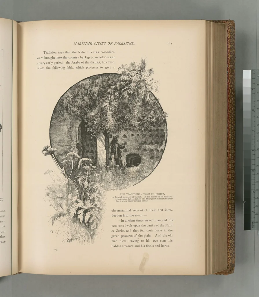An illustration from Picturesque Palestine, Sinai and Egypt, 1881, leaf 399