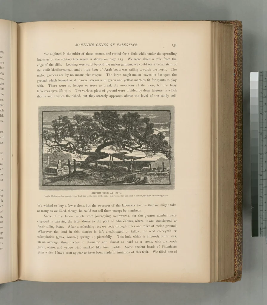 An illustration from Picturesque Palestine, Sinai and Egypt, 1881, leaf 403
