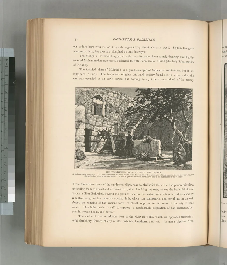 An illustration from Picturesque Palestine, Sinai and Egypt, 1881, leaf 404