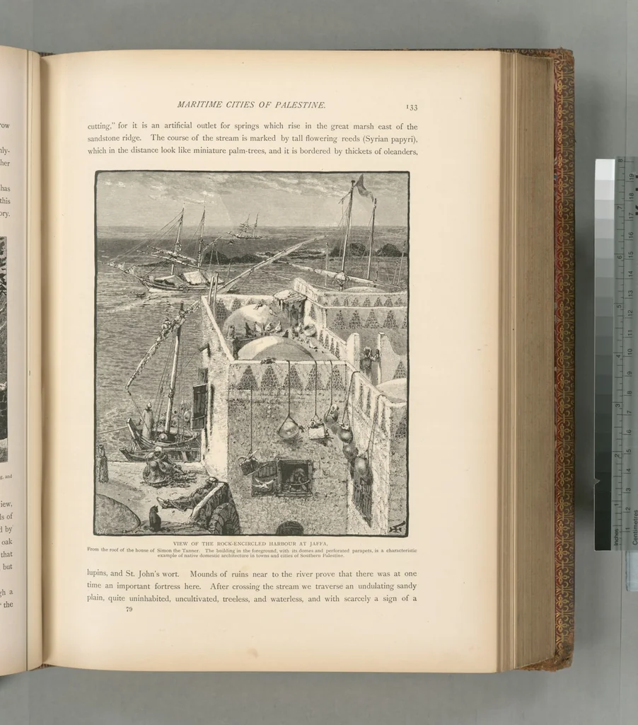 An illustration from Picturesque Palestine, Sinai and Egypt, 1881, leaf 405