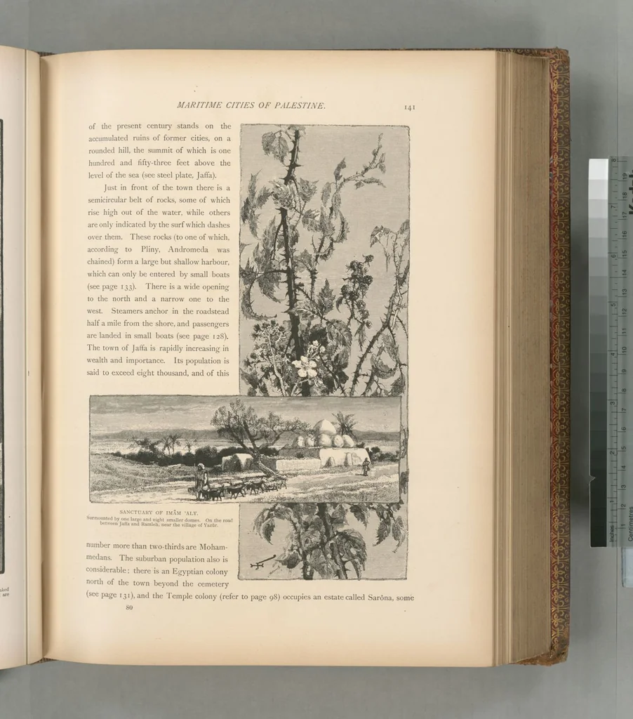 An illustration from Picturesque Palestine, Sinai and Egypt, 1881, leaf 410