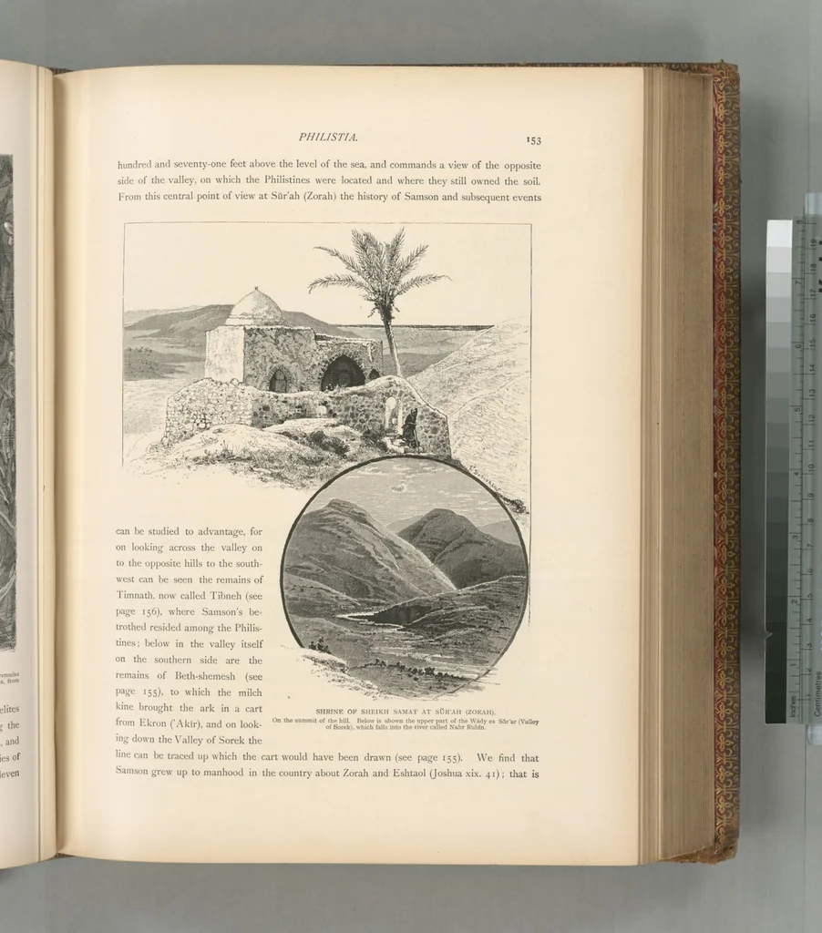 An illustration from Picturesque Palestine, Sinai and Egypt, 1881, leaf 417