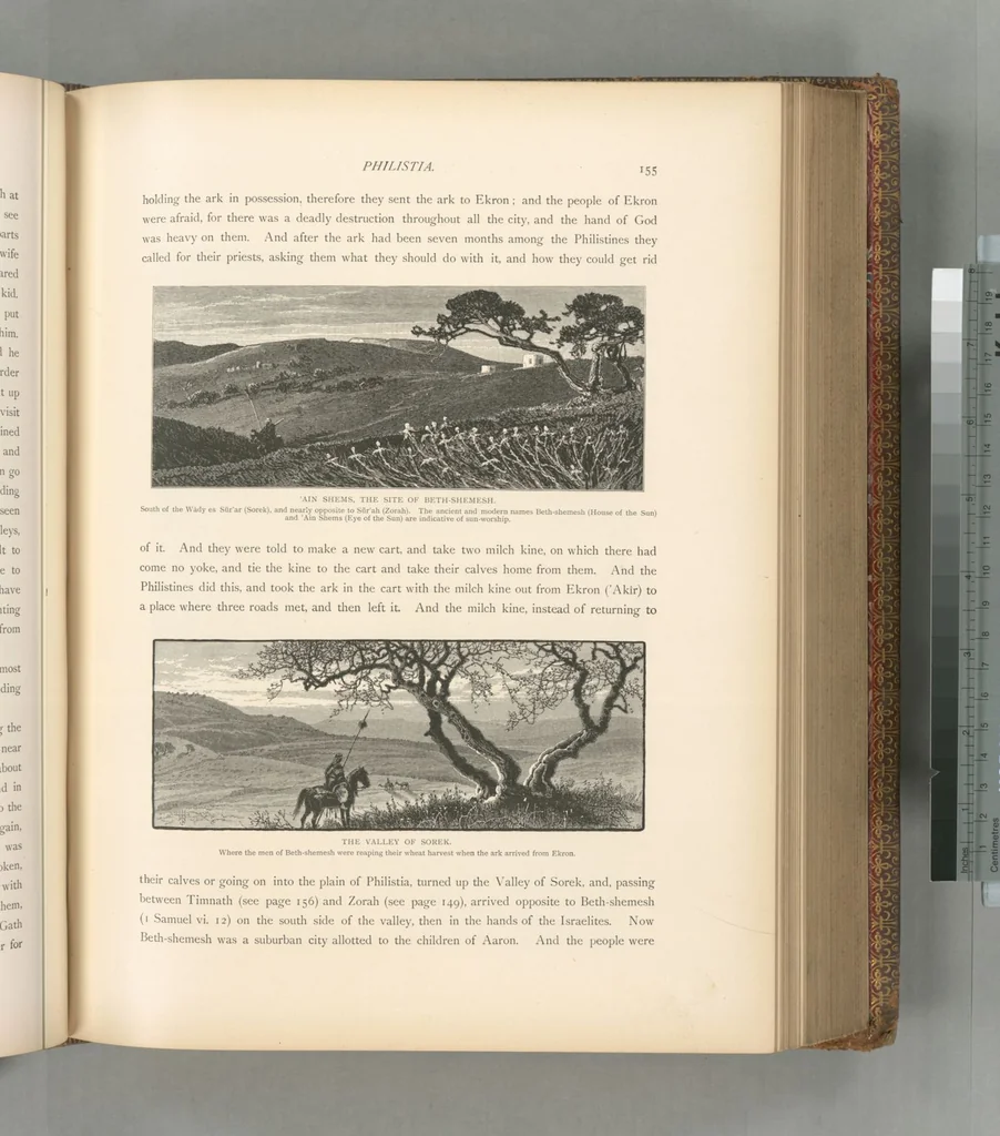 An illustration from Picturesque Palestine, Sinai and Egypt, 1881, leaf 418