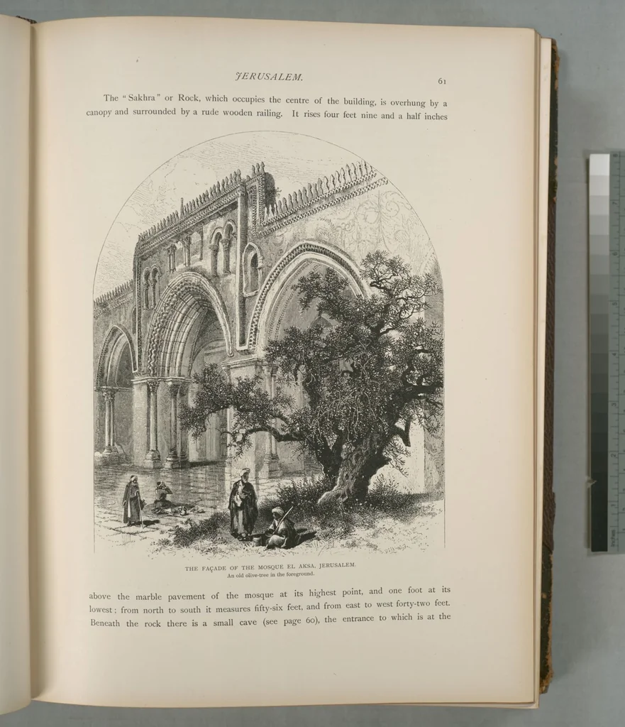 An illustration from Picturesque Palestine, Sinai and Egypt, 1881, leaf 42