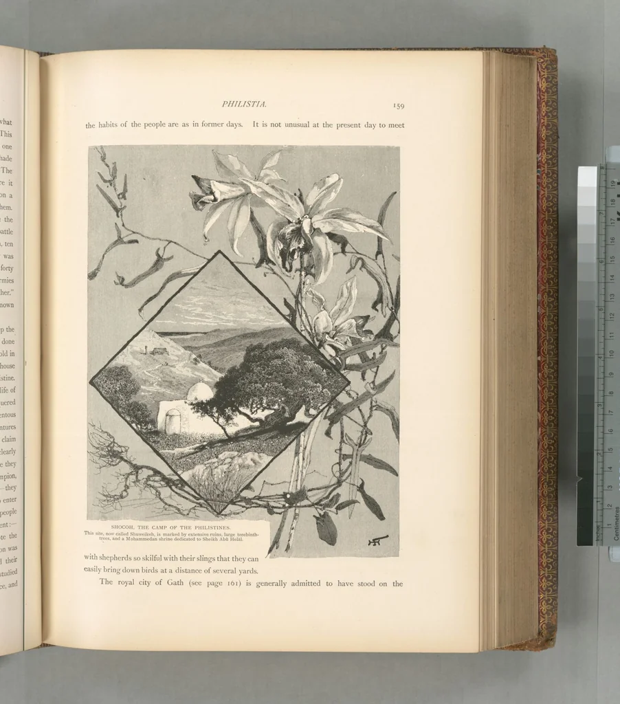 An illustration from Picturesque Palestine, Sinai and Egypt, 1881, leaf 422