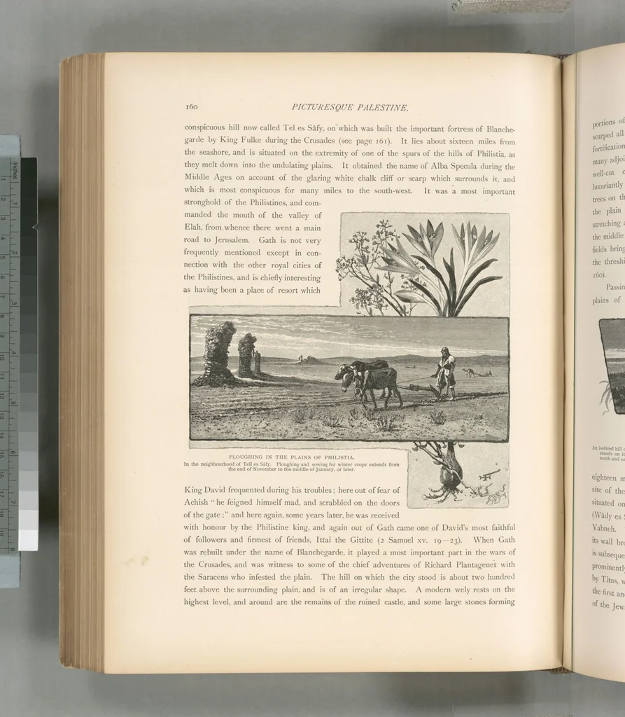 An illustration from Picturesque Palestine, Sinai and Egypt, 1881, leaf 423